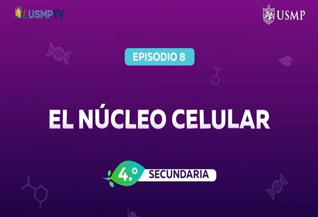 Capítulo N° 8 - El Núcleo Celular 